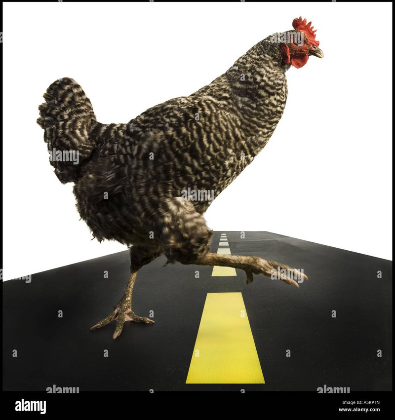 Image: Descubre el Juego de Azar que Revoluciona las Apuestas en España: Chicken Road
